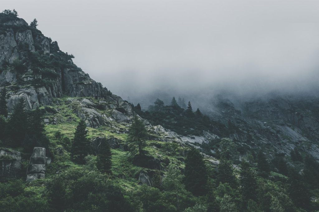 Services Services